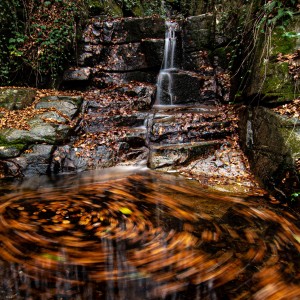 MONTSENY  corrents d'aigua  11-2020-1836